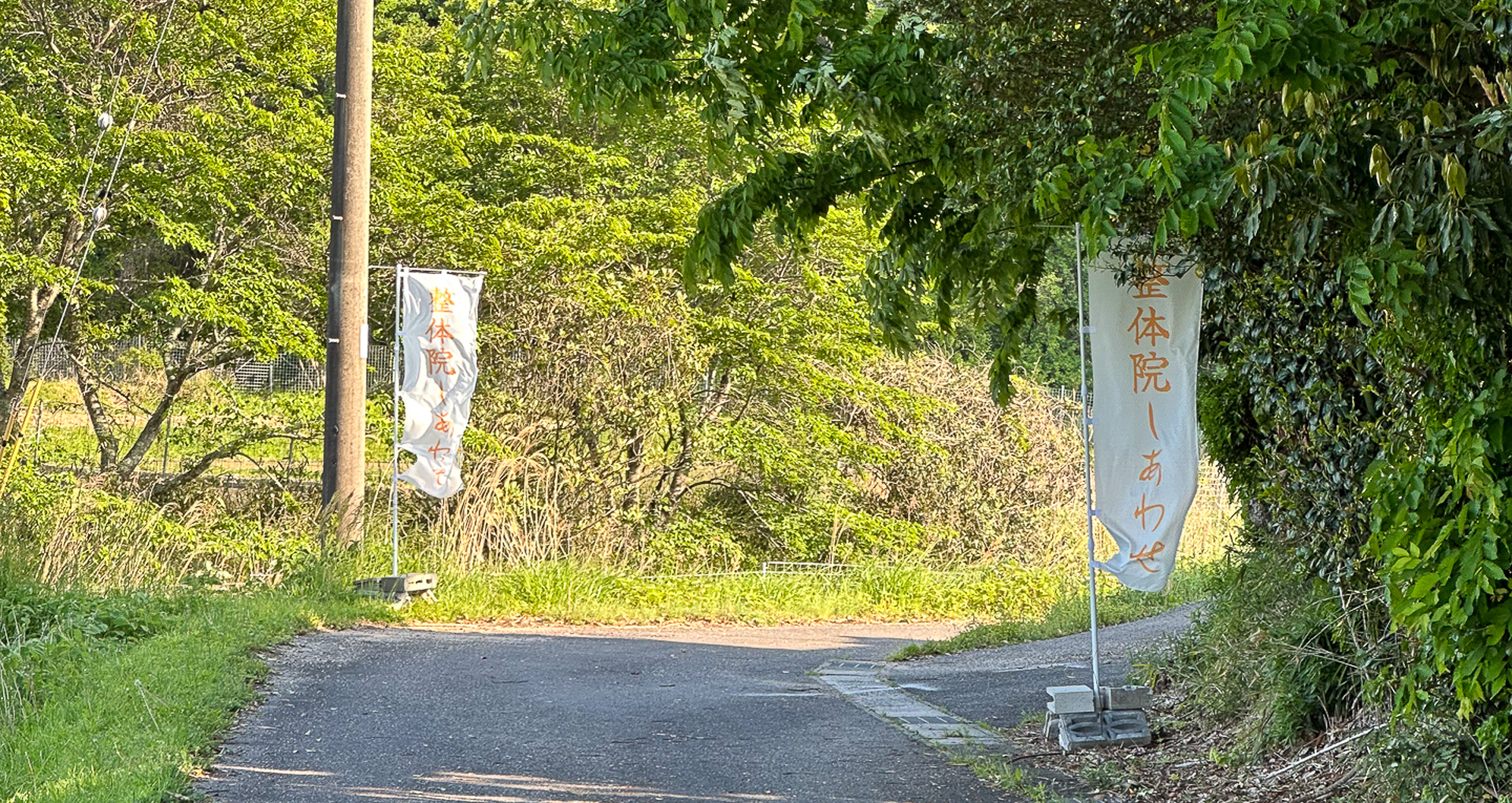 整体イメージ１